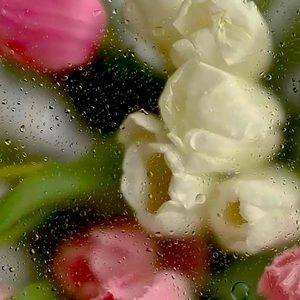 Meet your Posher, Katy